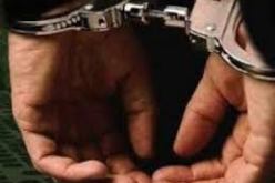 توقيف 14 شخصا بتهمة تزوير شهادات تكوين مهني في سعيدة