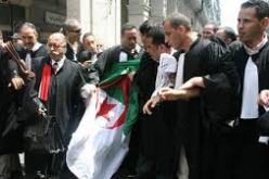 مجلس الدولة يلغي انتخاب نقابتي محامي ناحية بجاية وباتنة