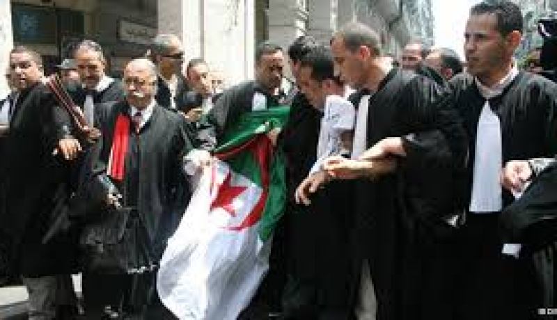 مجلس الدولة يلغي انتخاب نقابتي محامي ناحية بجاية وباتنة