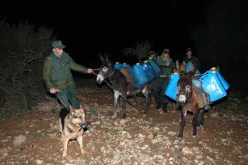 فرق الجمارك تحجز 680 3 لتر من الوقود بتلمسان