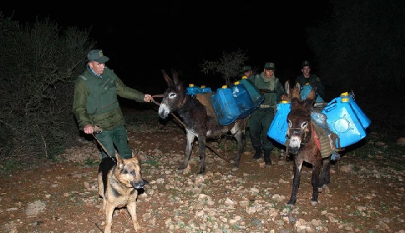 فرق الجمارك تحجز 680 3 لتر من الوقود بتلمسان