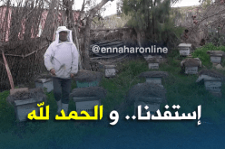 تيارت/ برنامج التنمية الريفية المندمجة…فلاحون يثبتون نجاحهم ميدانيا