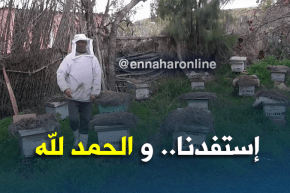 تيارت/ برنامج التنمية الريفية المندمجة…فلاحون يثبتون نجاحهم ميدانيا