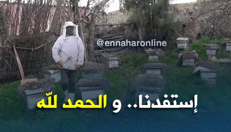 تيارت/ برنامج التنمية الريفية المندمجة…فلاحون يثبتون نجاحهم ميدانيا