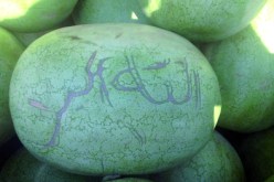 العثور على عبارة الله أكبر على فاكهة الدلاع في تيزي وزو
