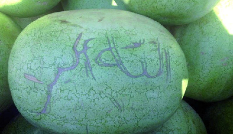 العثور على عبارة الله أكبر على فاكهة الدلاع في تيزي وزو