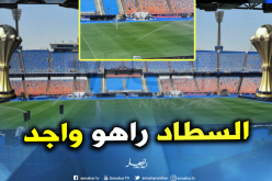 بالصور.. آخر “الروتوشات” في ملعب “القاهرة” قبل نهائي كأس إفريقيا !