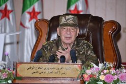 قايد صالح: الرابطة بين الجيش والشعب قوية وعفوية
