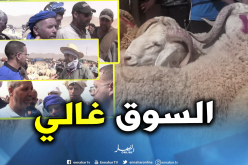 النعامة: أسعار الأضاحي بسوق الماشية في المشرية