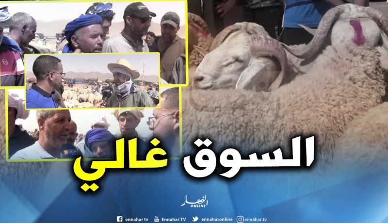 النعامة: أسعار الأضاحي بسوق الماشية في المشرية