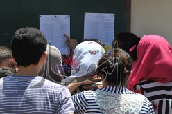 53.97%  نسبة النجاح في بيام 2015