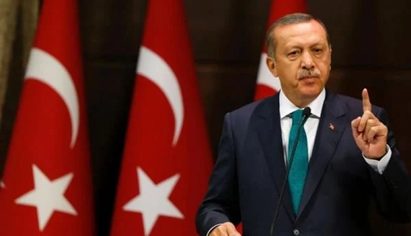 اعتقال شاب في تركيا بتهمة إهانة أردوغان