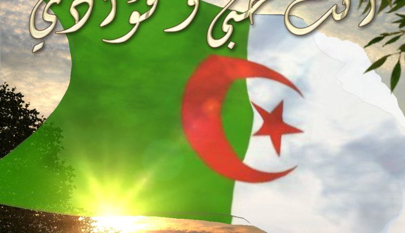 الشعب الجزائري يحيي الذكرى 53 لعيد الإستقلال والشباب