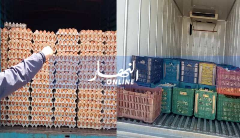 حجز 21 قنطارا من أرجل الدجاج و30 ألف بيضة فاسدة في باتنة