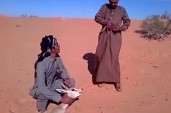 بالفيديو رعايا عرب ينكلون بغزال في صحراء الجزائر