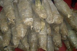 توقيف 7 أشخاض وحجز 12 كلغ من حشيش البانغو بتمنراست