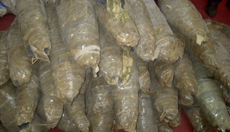 توقيف 7 أشخاض وحجز 12 كلغ من حشيش البانغو بتمنراست