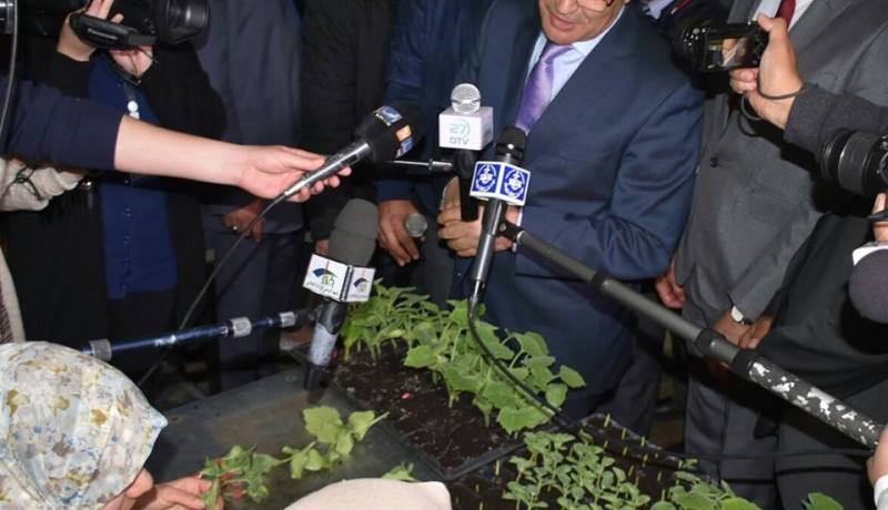 بوعزقي: توحيد جهود القطاعين العام والخاص إلزامي لضمان الإستقلالية الفلاحية