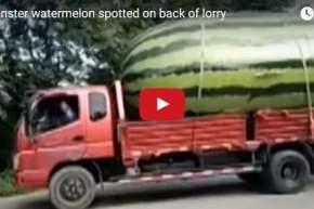 بالفيديو هذه هي حقيقة شاحنة تحمل بطيخة عملاقة في الصّين