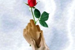 النهار تحقق حلمك و تزف لك عريسك