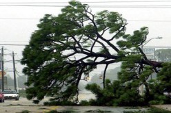 قتيلان وأكثر من 100 جريح في عاصفة اجتاحت جنوب أمريكا