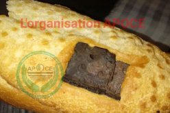 خطر الموت .. قطعة جبس متصدئ ملتصق بالخبز !