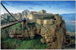 الجزائر تفكر في انجاز مركز مختص في الانتوبولوجيا