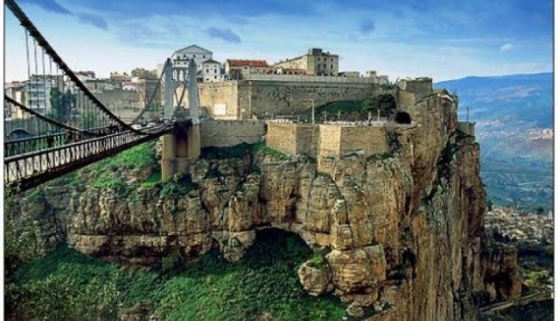 الجزائر تفكر في انجاز مركز مختص في الانتوبولوجيا