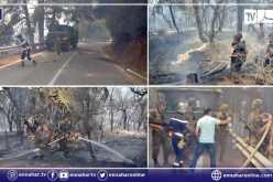 مفارز الجيش تتدخل وتساهم في إخماد الحرائق بغابة الشريعة في البليدة