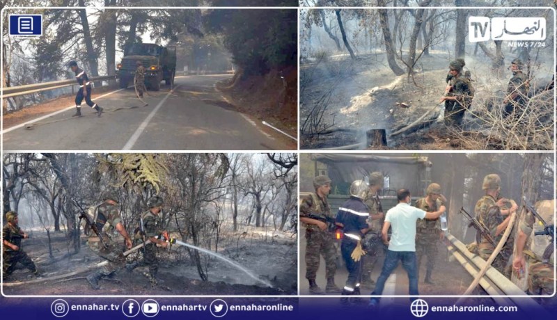 مفارز الجيش تتدخل وتساهم في إخماد الحرائق بغابة الشريعة في البليدة