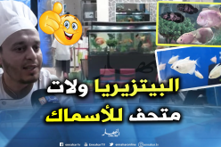 شاهد قصة شغف عبد الرزاق..  “بيتزاريو” يهوى تربية الأسماك