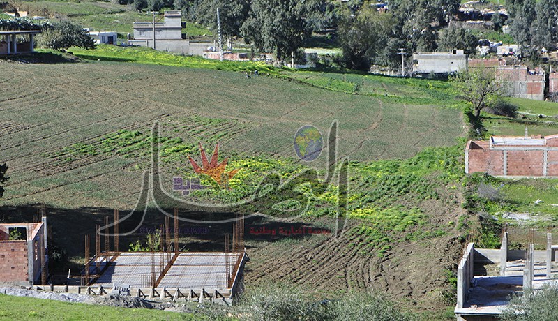 سمسار يحتال على مواطنين ويبيعهما عقارا وهميا في الدويرة بالعاصمة