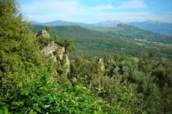 الجيش‮ ‬يمشّط‮  ‬غابات التراغنية في‮ ‬الشلف