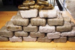 اصطحاب العائلات في سيارات تهريب المخدرات لتفادي التفتيش والمراقبة