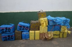 أمن الجزائر يتمكن من حجز أزيد من 2 طن من مخدّر الرتنج الهندي