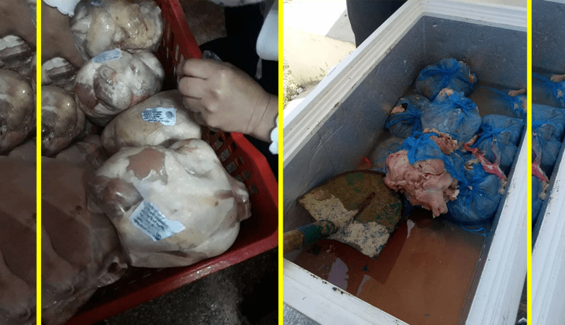 بالصور.. مصالح التجارة تحجز أكثر من 12 قنطارا من الدجاج الفاسد بسكيكدة
