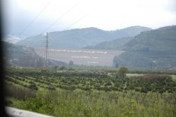 عليوي يدعو الى الاسراع في تطبيق القرارات الخاصة بالفلاحين