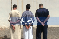 سكيكدة: الإطاحة بعصابة مختصة في سرقة المواشي عشية عيد الأضحى