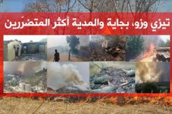 الحرائق تأتي على 3906 هكتار من الغابات… !!!