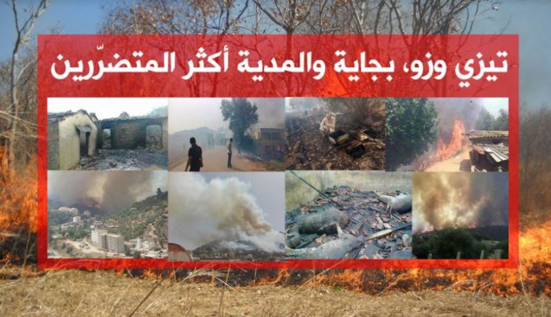 الحرائق تأتي على 3906 هكتار من الغابات… !!!