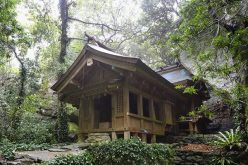 جزيرة رجالية يابانية تقتحم قائمة التراث العالمي