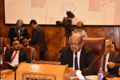 مساهل يجدد من القاهرة موقف الجزائر الثابت تجاه القضية الفلسطينية 