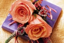 النهار تساعدك على ذلك