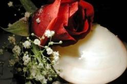 النهار تساعدك على ذلك