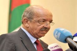 ندوة دولية في الجزائر لمحاربة التطرف والجريمة الإلكترونية