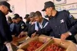 توقيف 4 أشخاص بتهمة الصيد غير القانوني للمرجان بعنابة