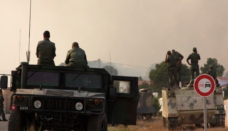 الجيش التونسي يقصف معاقل مسلحين بجبال السلوم والسمامة