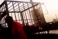 بالفيديو داعش يستعرض أسرى البيشمركة داخل أقفاص