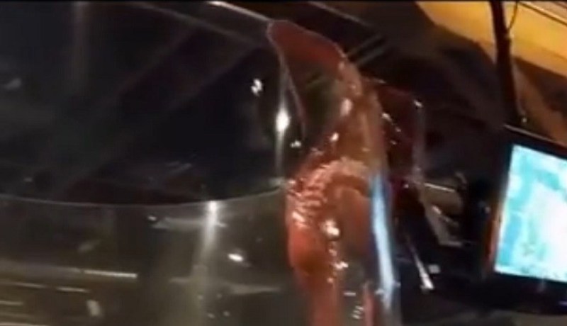 بالفيديو محاولة فرار لاخطبوط يحلم بالحرية باءت بالفشل