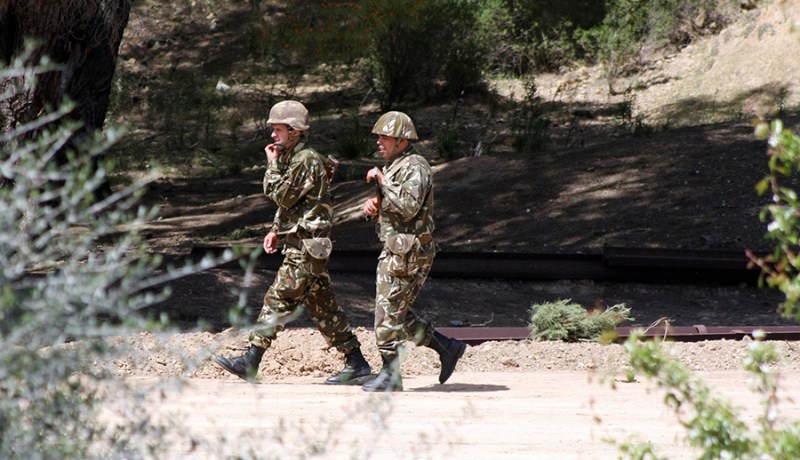 الناتو يتحامل على الجزائر ويتهمها بالتهاون الأمني في المنطقة